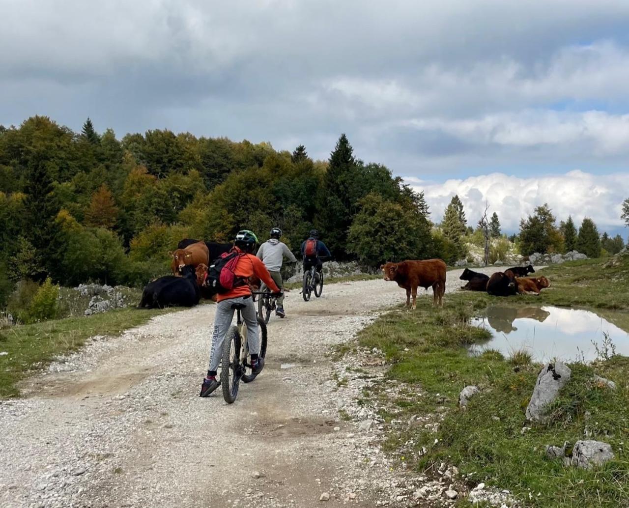 Azimut Hisa Lägenhet Tolmin Exteriör bild